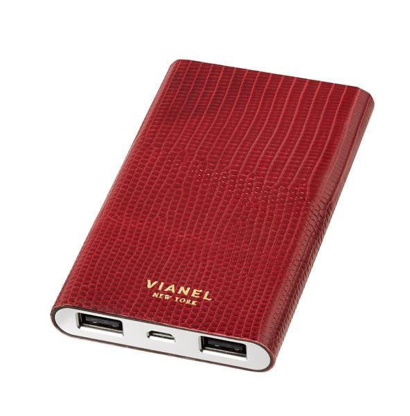 Vianel Backup Charger ($120)