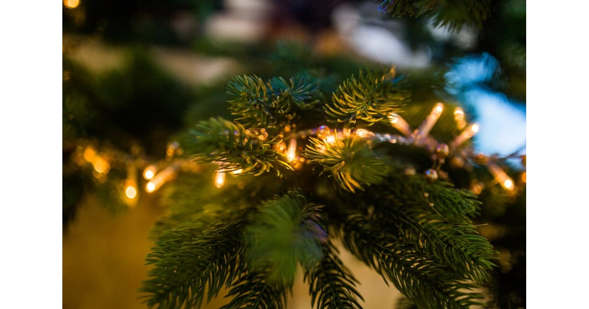 Christmas lights that don't work 100+ Things You Should Throw Away