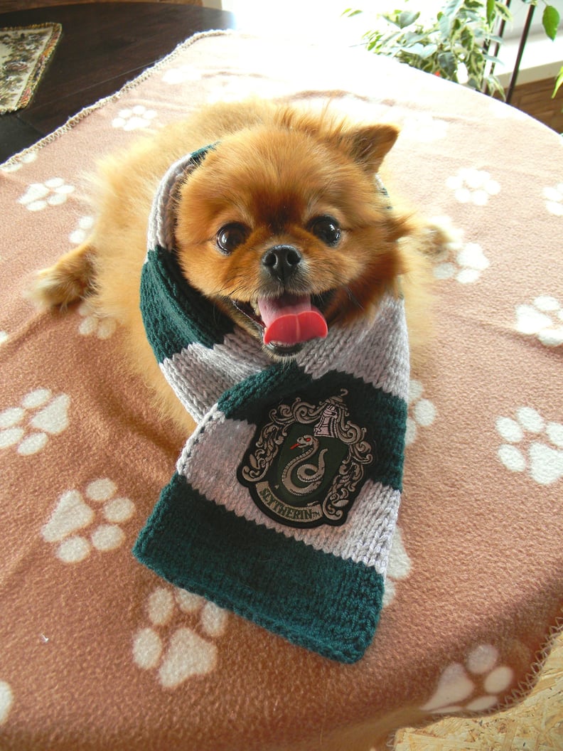 Slytherin dog bandana hot sale