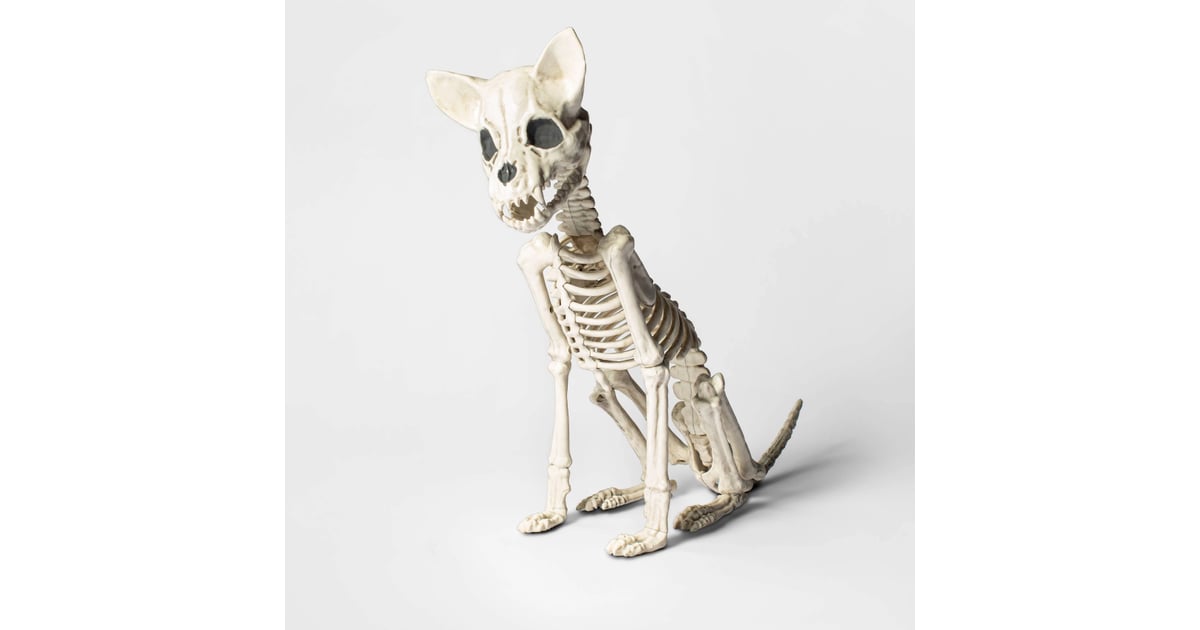 best chew bones for chihuahua