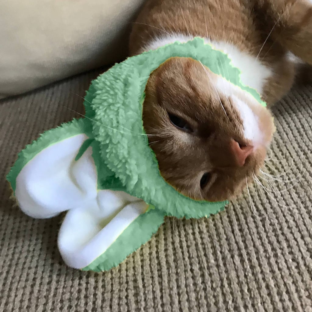 Urban outfitters cat hat Clearance