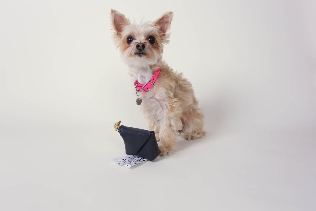 Pawtty Bag ($39)
Ella Bean: “It’s always a good thing to be discreet about one’s business, if you know what I mean. I love that proceeds support dogs in need.”
