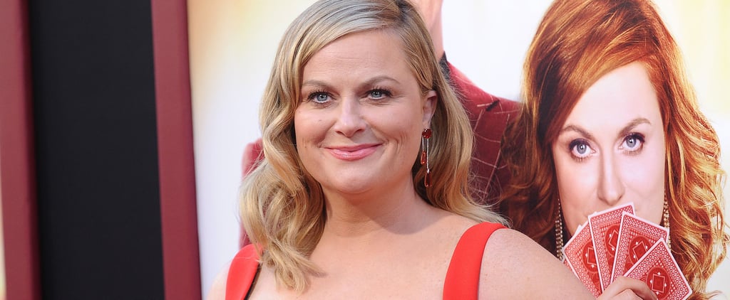 Amy Poehler Wine Country Movie Details