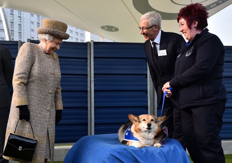 Queen Elizabeth II visits Battersea Dogs and Cats Home in 2015.