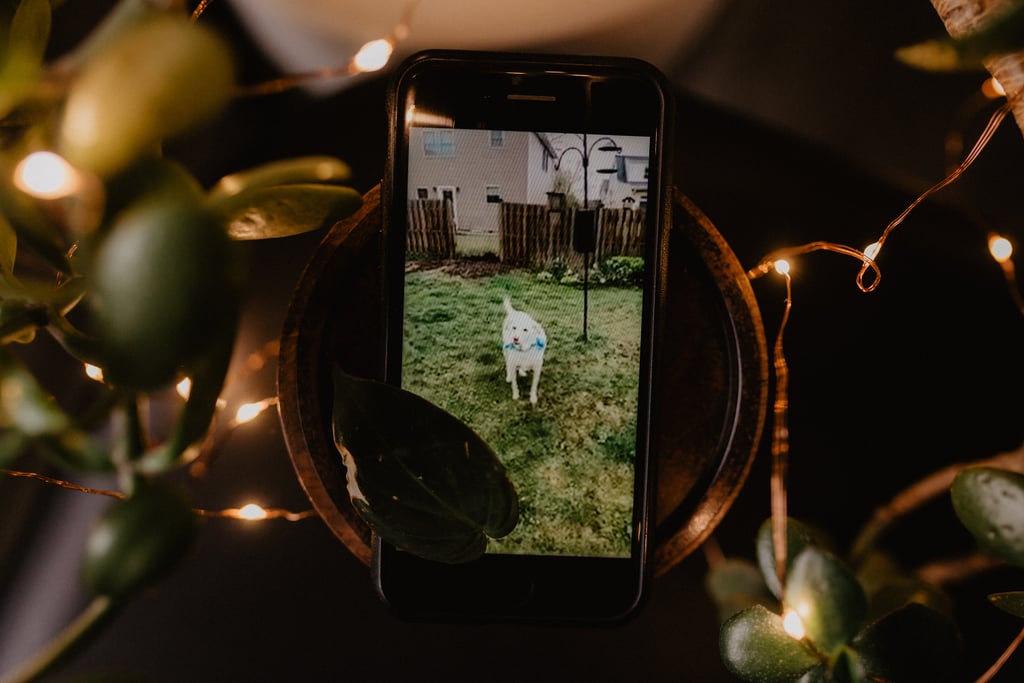 Couple Live-Stream Elopement From Backyard Amid Coronavirus