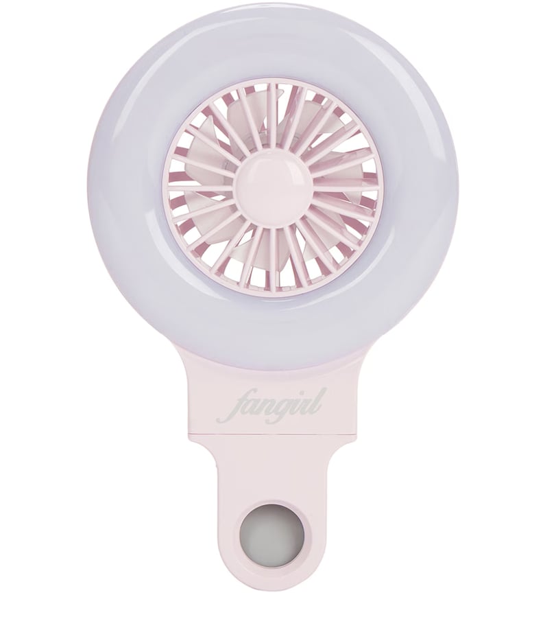 A Fan and Light Combo