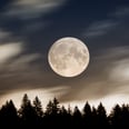 The Sturgeon Moon Is Promising Breakthroughs — Not Breakdowns