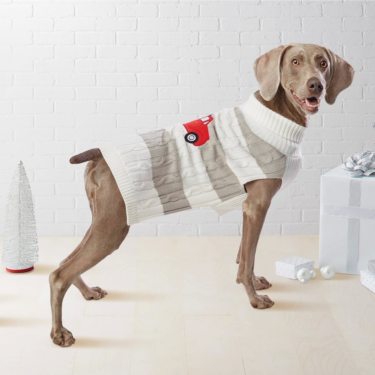 dog sweaters target