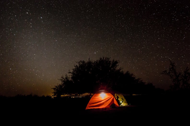 Camp in the backyard.