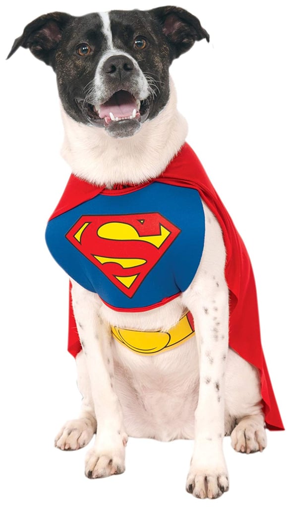 Superman DC Comics Pet Costume