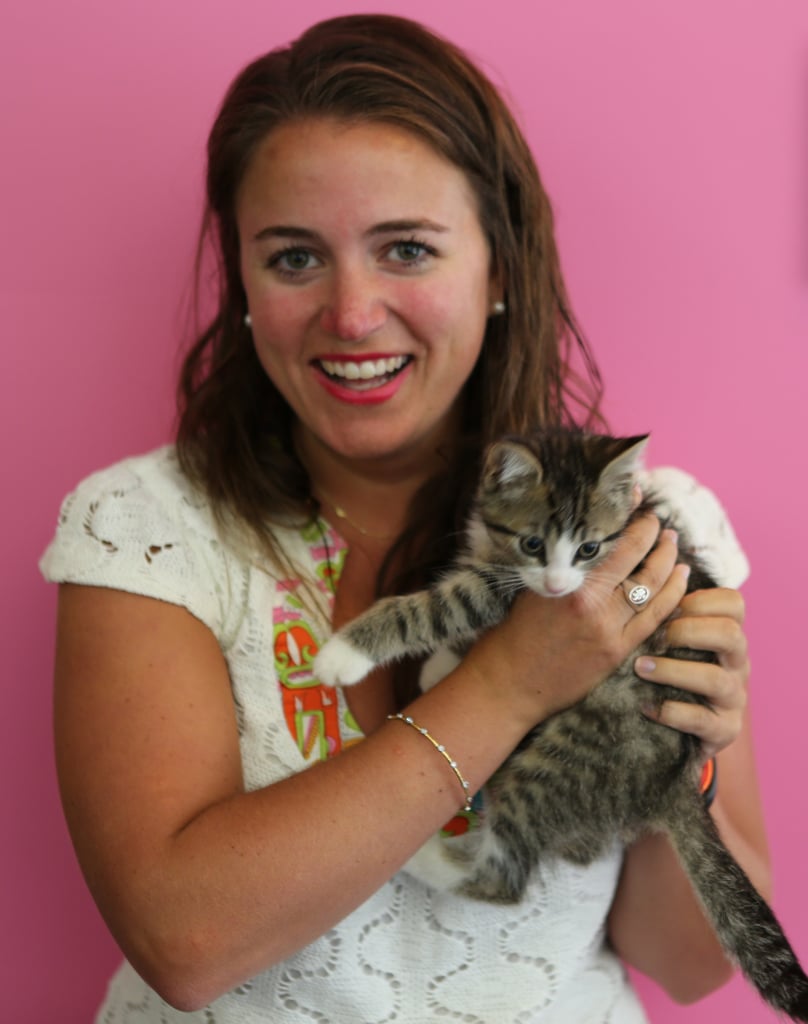 ASPCA's Adoptable Kittens