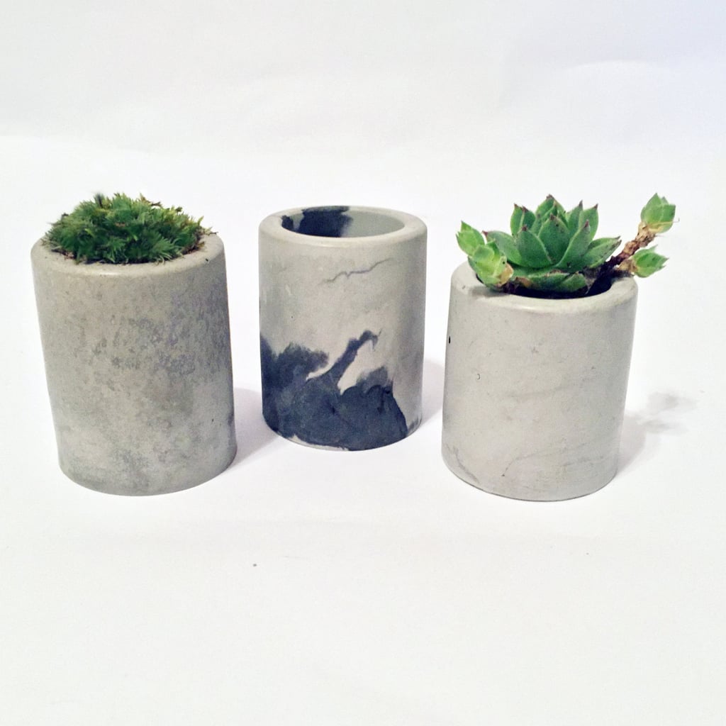 Mini Concrete Planters ($7)