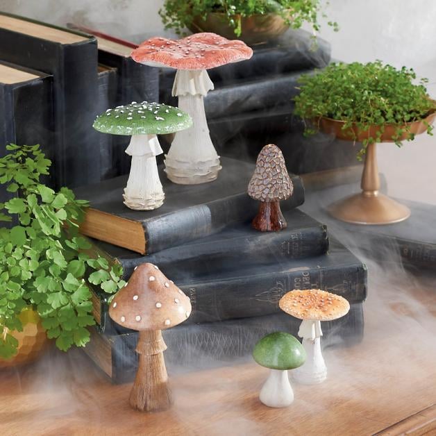 Magical Mushrooms: Haunted Mushrooms