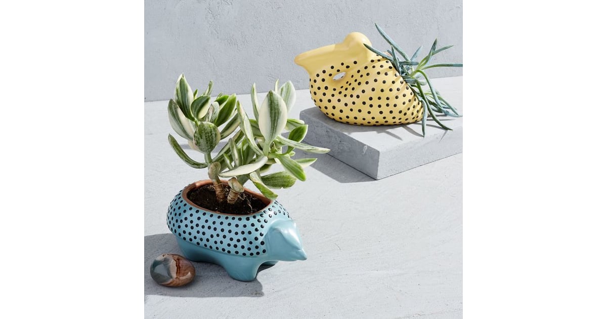 West Elm Ceramic Animal Planters Cute Desk Planters POPSUGAR Smart
