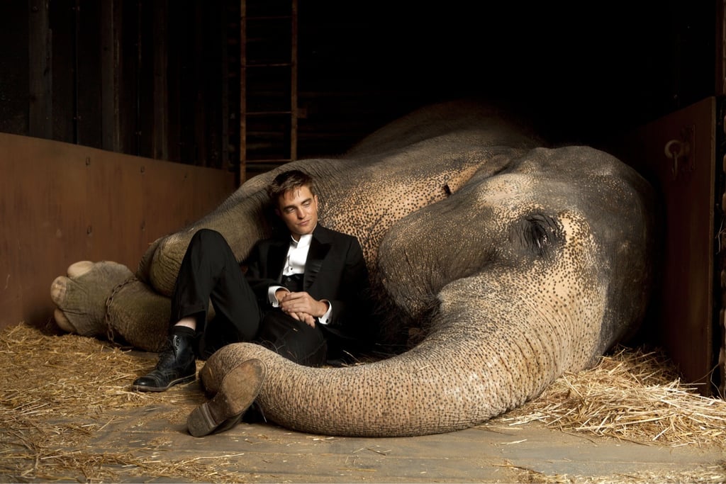 Water for Elephants (2011)
