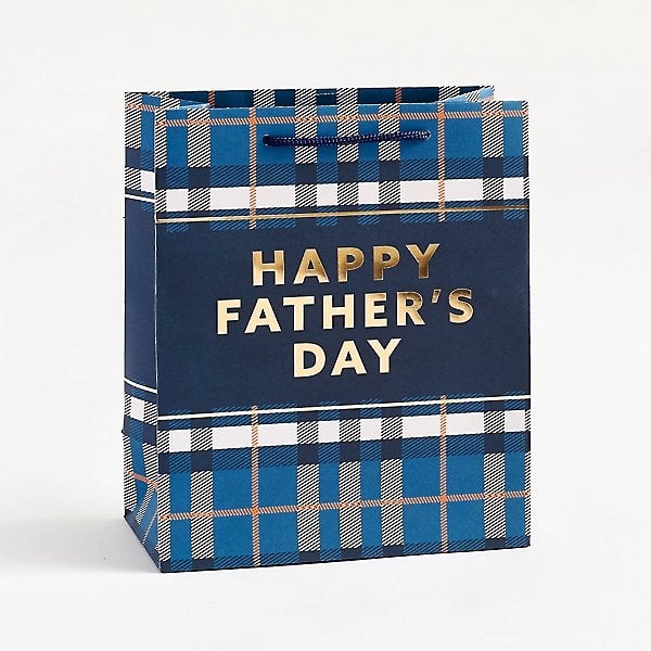Plaid Father's Day Gift Bags