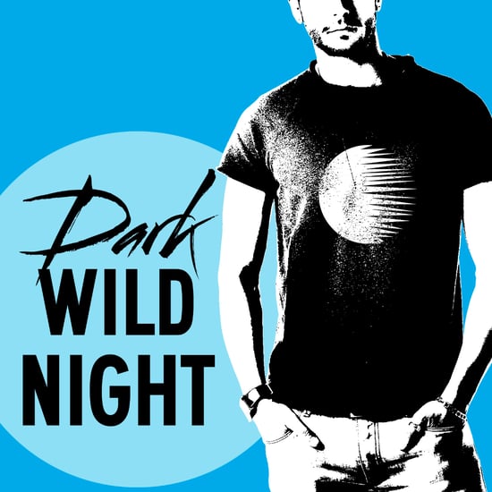 Dark Wild Night by Christina Lauren Book Excerpts