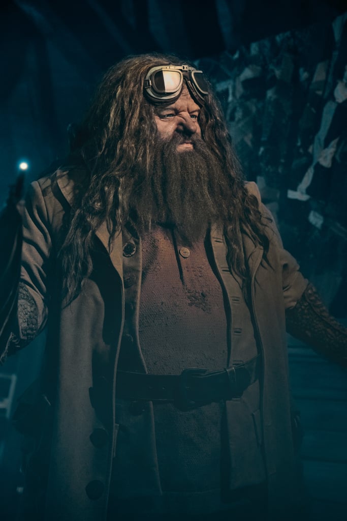 Hagrid Animatronic Figure