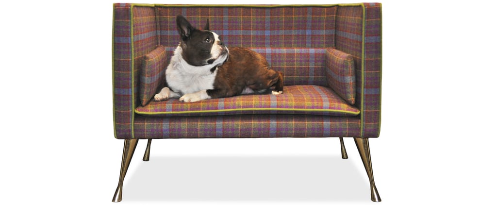 Pets Must Haves January 2016