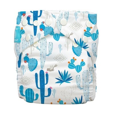 Charlie Banana Reusable All-in-One Diapers in Cactus Azul