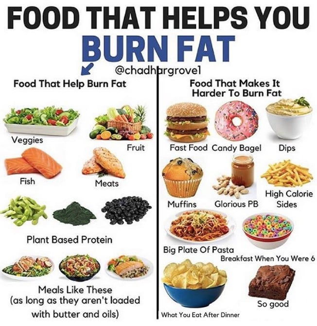 fat loss diet