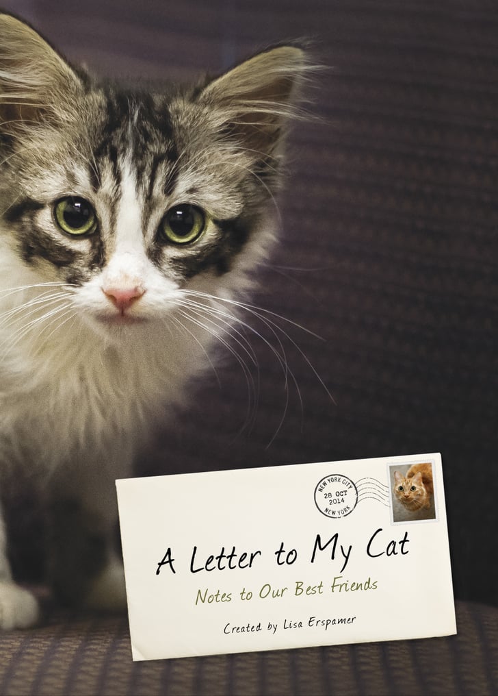 A Letter To My Cat Popsugar Pets