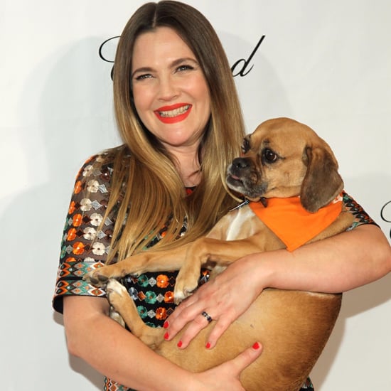 Drew Barrymore at ASPCA Bergh Ball 2016 Pictures