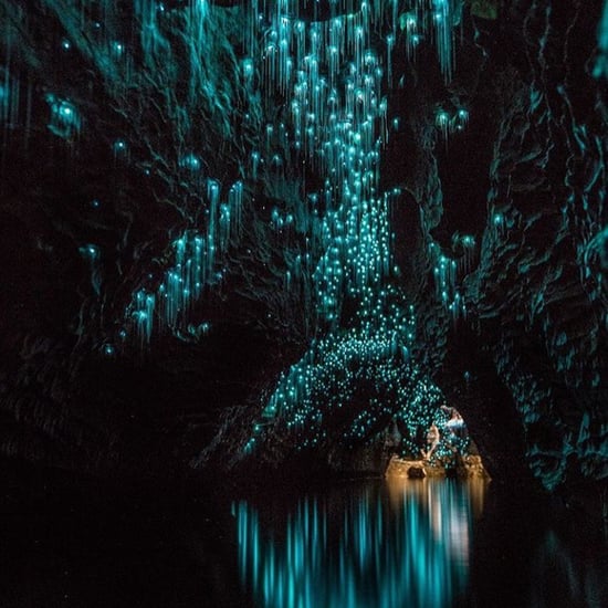 Glowworm Caves in New Zealand