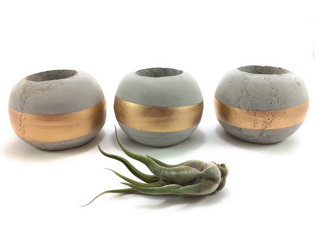 Urban Concrete Design Concrete Succulent Holders