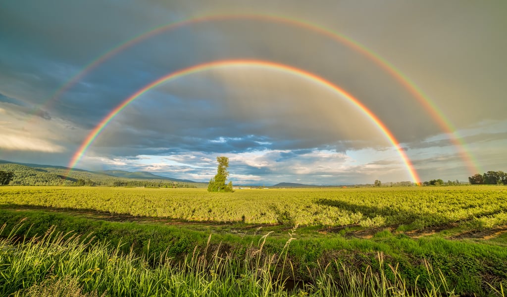 St. Patrick's Day Zoom Background: Double Rainbow