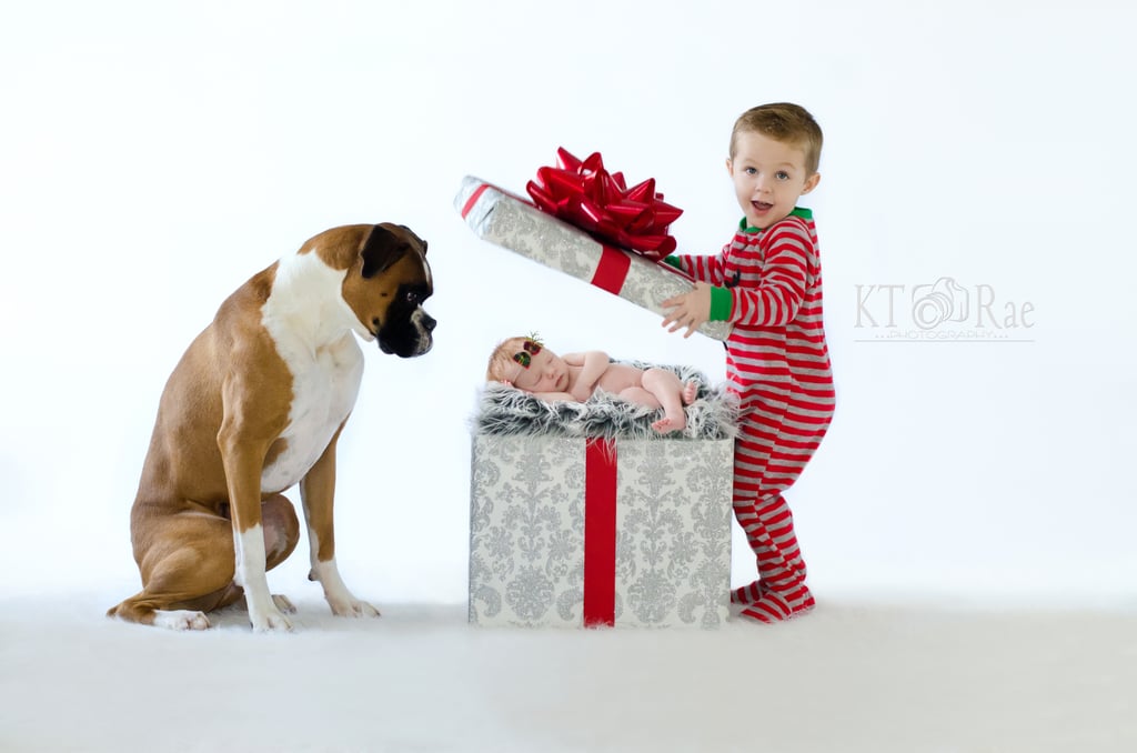 Adorable Baby and Puppy Christmas Picture Ideas