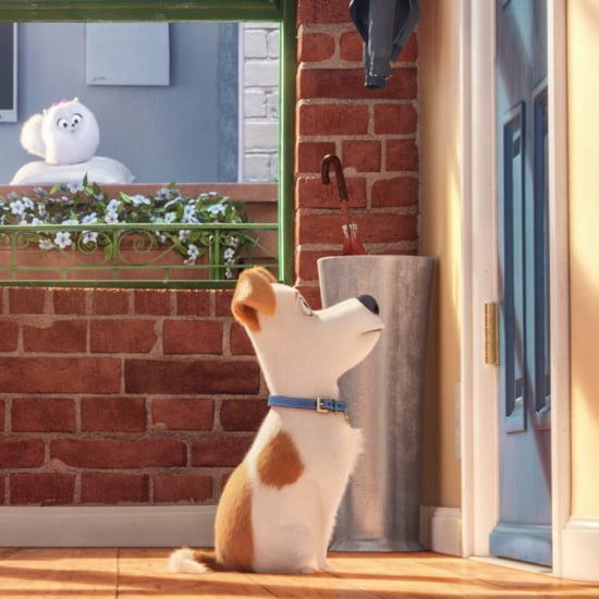 The Secret Life of Pets Review