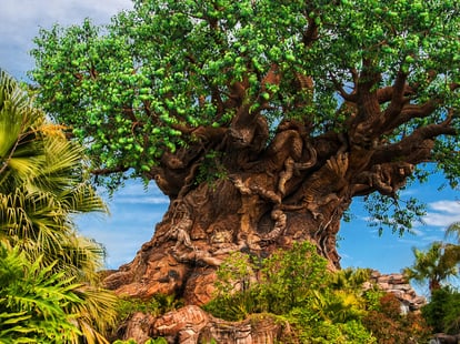 Ways Disney Parks Are Becoming More Sustainable | POPSUGAR Smart Living