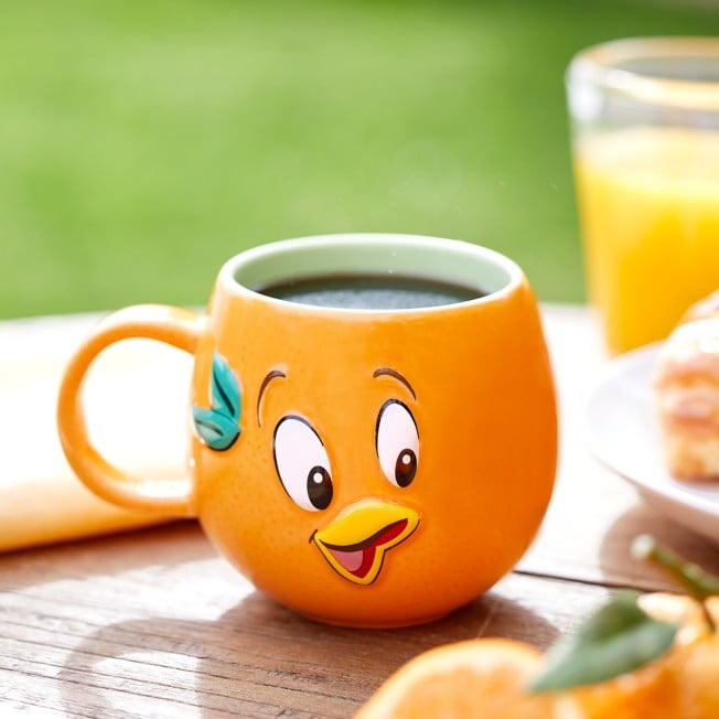 A Fun Mug: EPCOT International Flower & Garden Festival 2022 Orange Bird Mug