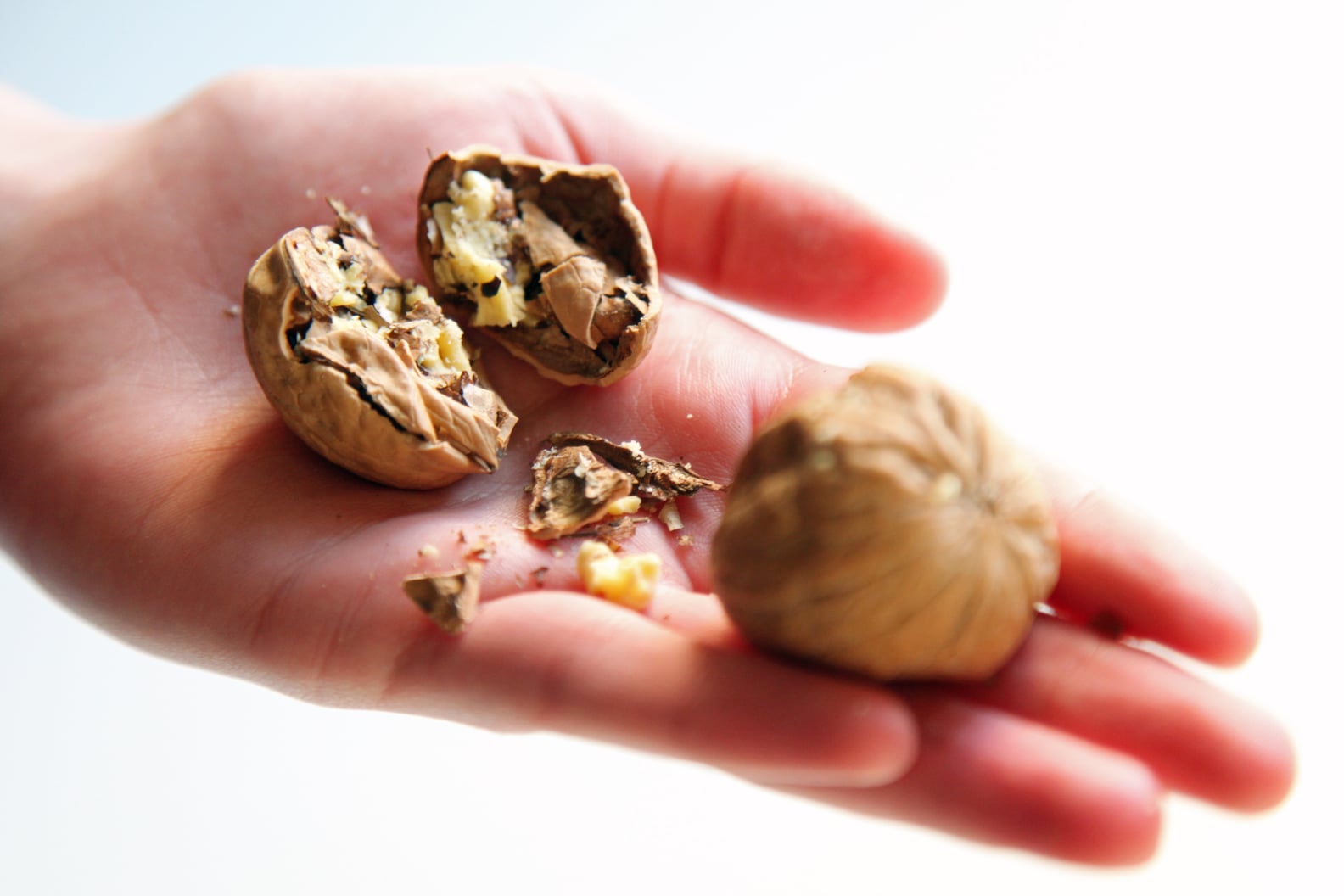 How to Crack Nuts Without a Nutcracker POPSUGAR Food
