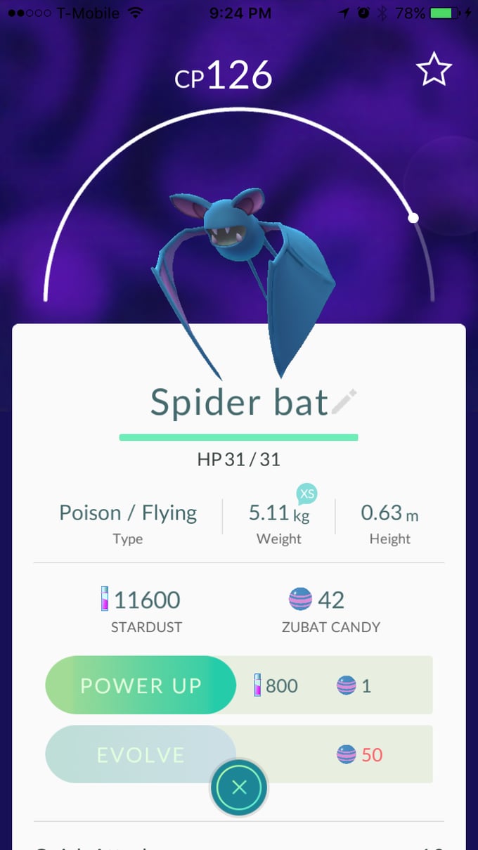 Zubat aka "Spider bat"