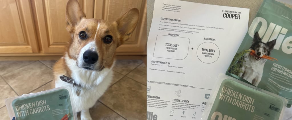 Ollie Dog Food Review With Photos
