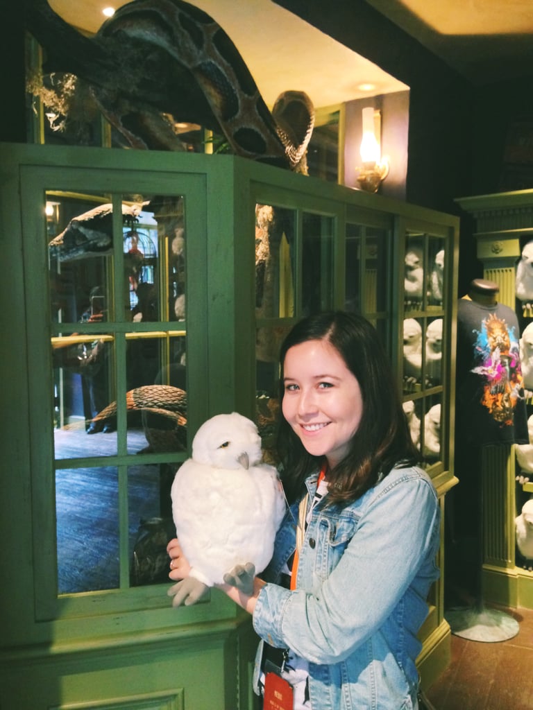 We all need a stuffed Hedwig in our life.