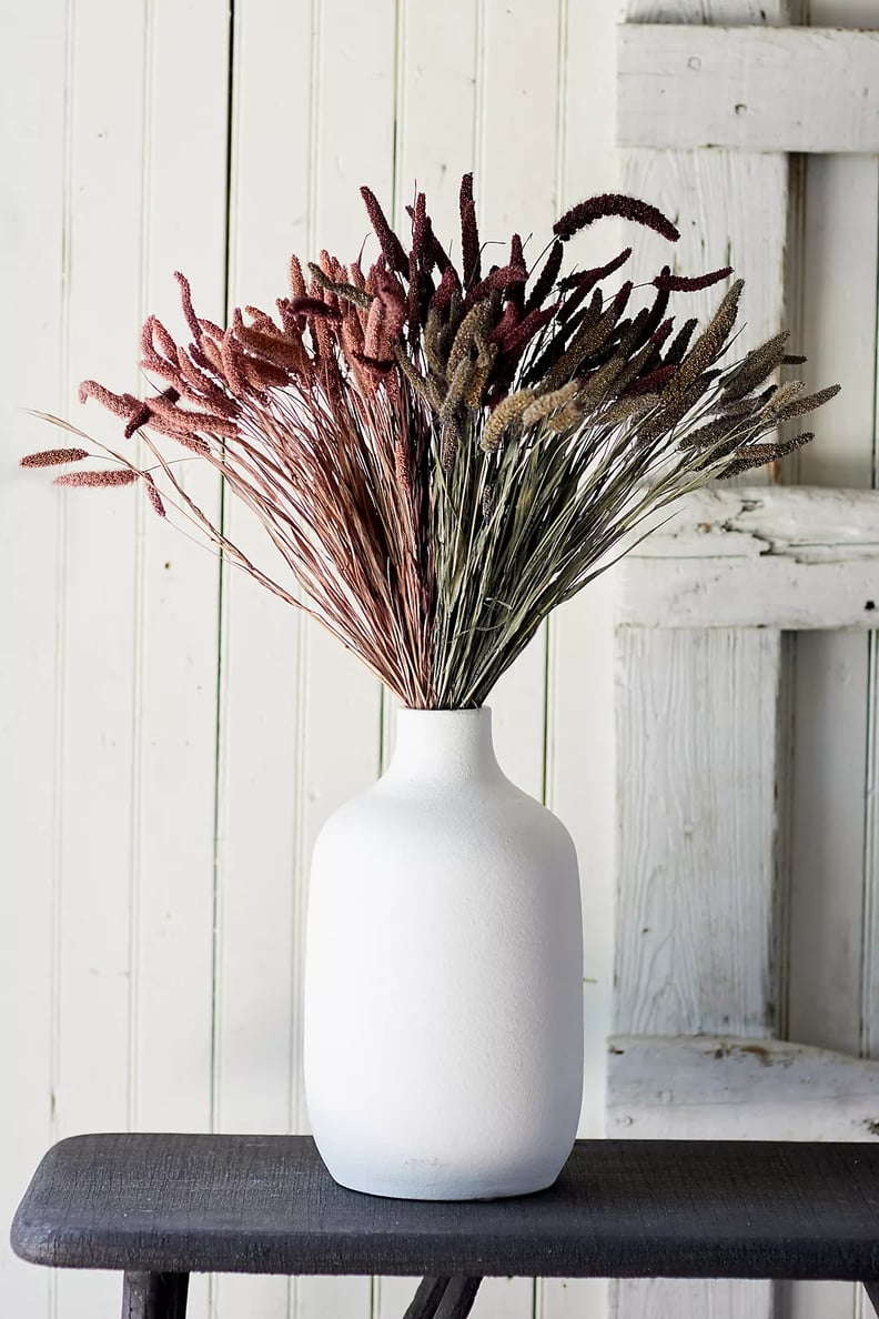 A Harvest Display: Preserved Millet Bunch