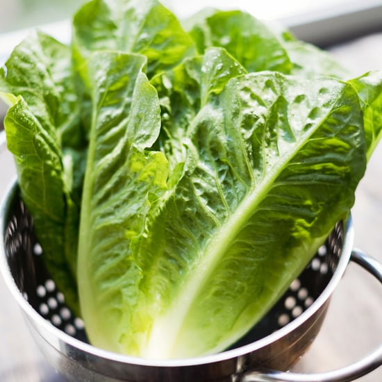Does Drinking Lettuce Water Help With Sleep?