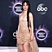 Camila Cabello's Oscar de la Renta Tulle Dress at the AMAs