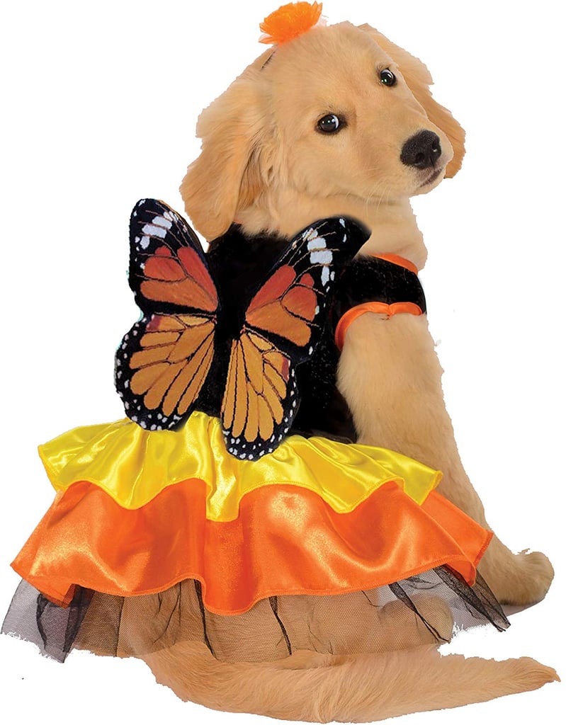 Butterfly Tutu Pet Costume