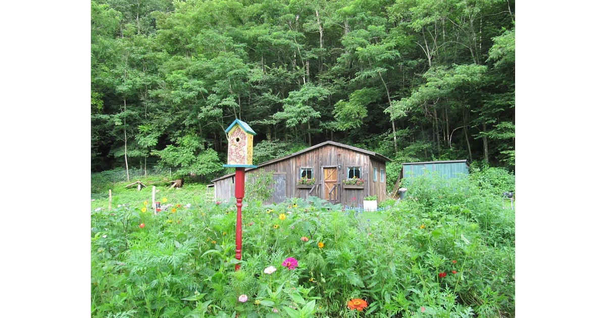 Seneca Rocks, WV Cheap Airbnb Rentals in the USA POPSUGAR Smart