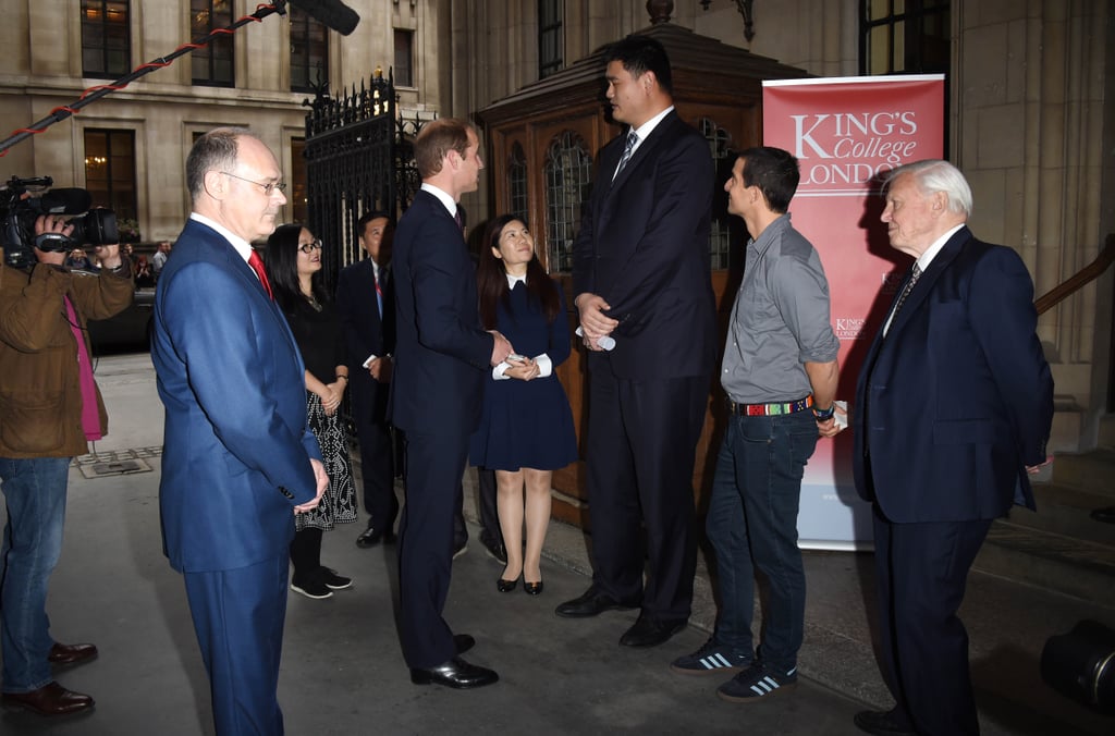 Prince William's Speech on Illegal Wildlife Trade 2015