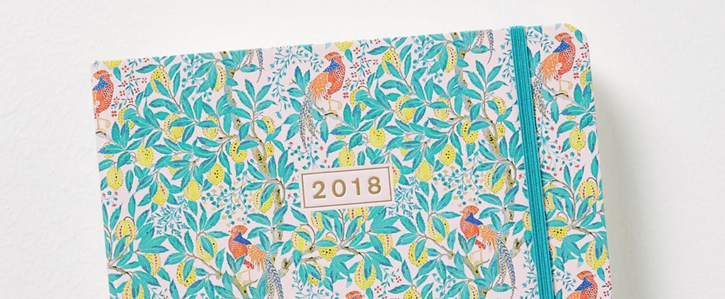 17-Month Planners and Agendas