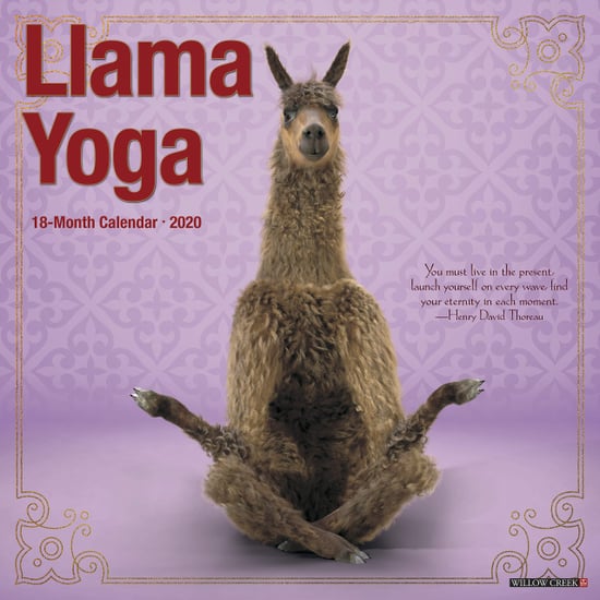 An Adorable Llama Yoga Calendar For 2020