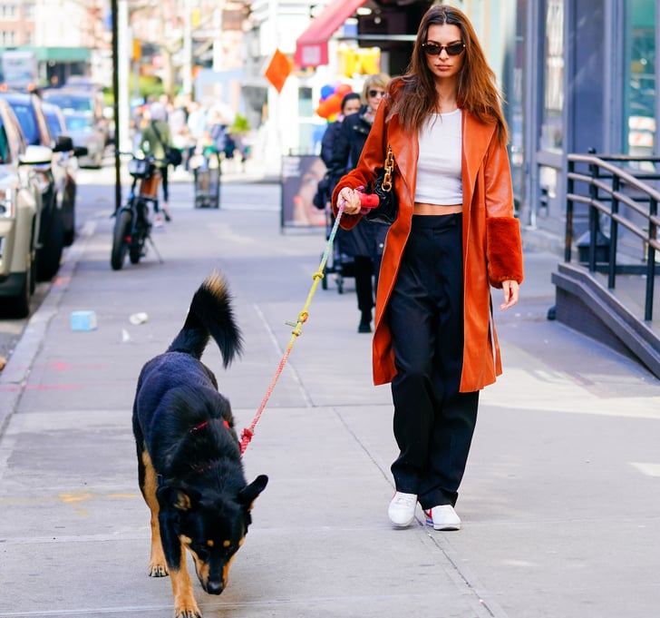 Emily Ratajkowski's BlankNYC Rust Vegan Leather Jacket