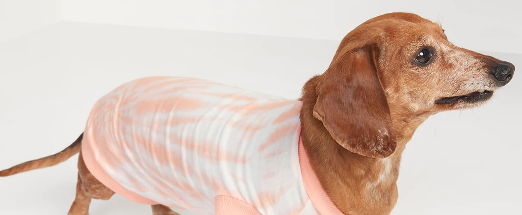Best Summer Pet Clothes From Old Navy 2021