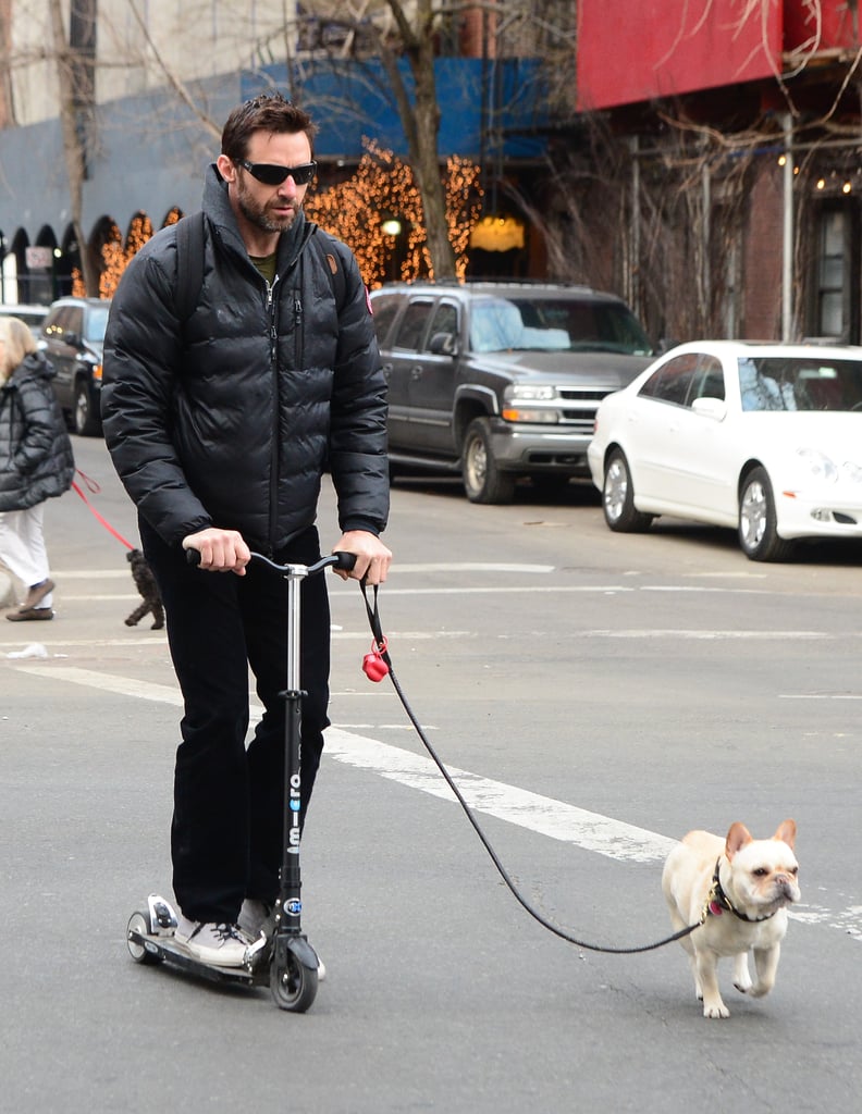 On Tuesday, Hugh Jackman took to his scooter to walk his dog in NYC.