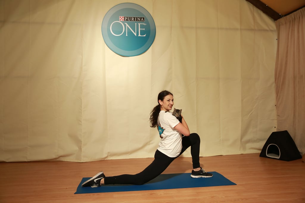 Purina ONE Cat Camp